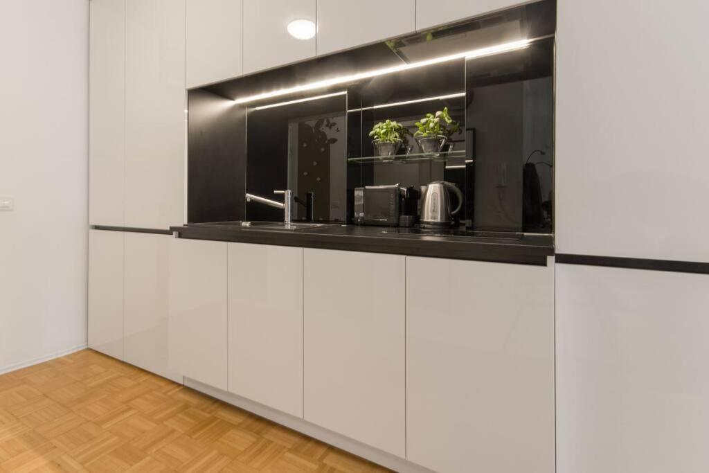 Gorgeous Central Flat With Garage Ljubljana Eksteriør bilde